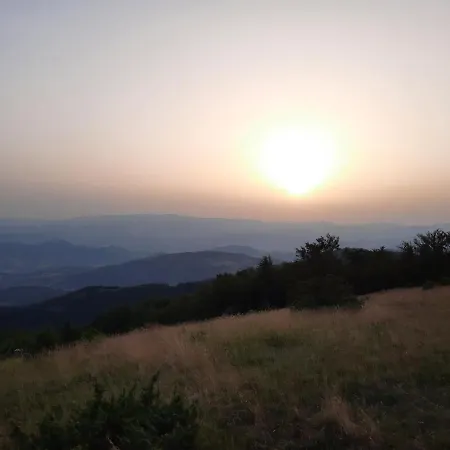 Kosuta, * Kopaonik