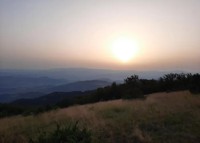 Kosuta, * Κοπαόνικ