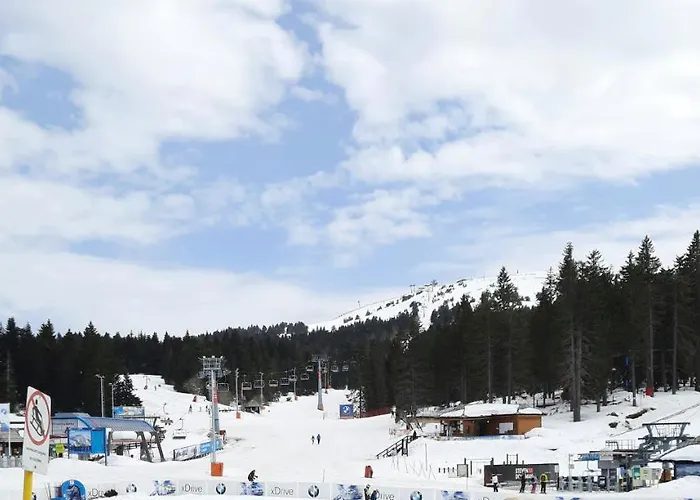 Kosuta, Διαμέρισμα *